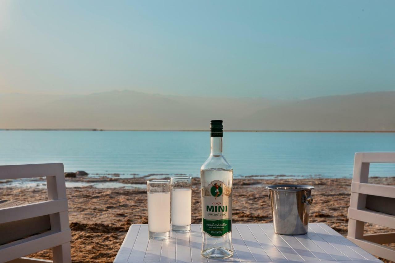 Herbert Samuel Milos Dead Sea Ein Bokek Εξωτερικό φωτογραφία